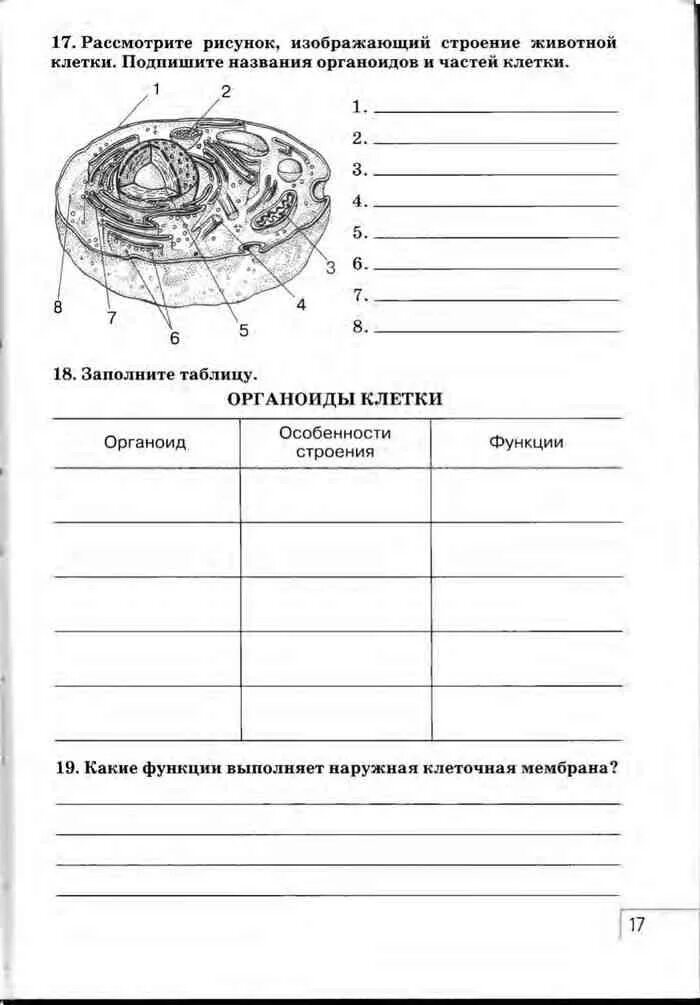 Учебник по биологии 8 класс строение клетки. Строение клетки по биологии 8 класс. Строение клетки 8 класс биология. Строение клетки биология учебник 8 класс рисунок. Контрольная лист 6 класс биология