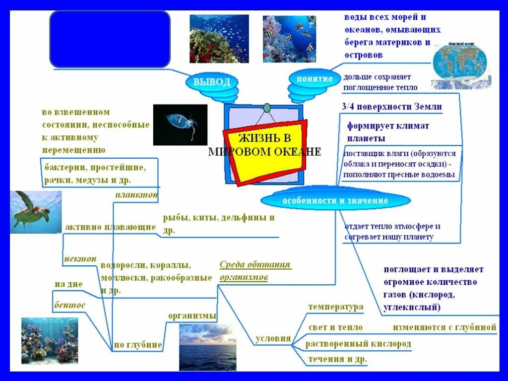 Схема жизнь в океане. Интеллект карта по географии 7 класс тихий океан. Интеллект карта по мировому океану. Интеллект карта мировой океан. Интеллект карта Атлантический океан.