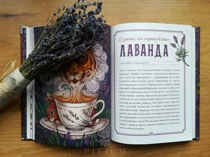 Оракул май