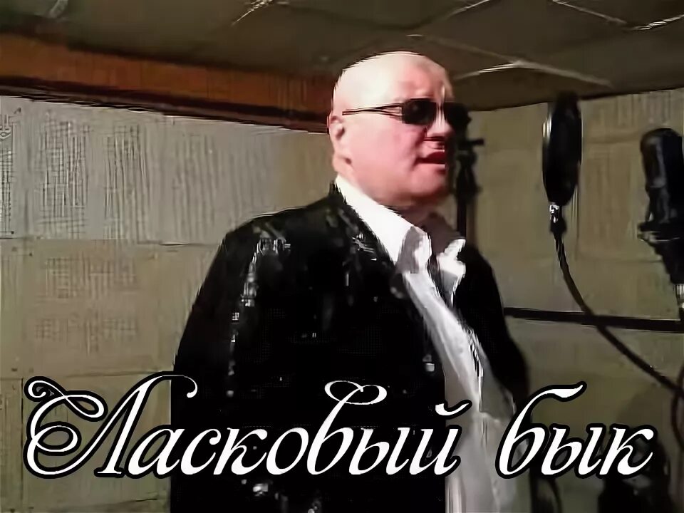 Ласковый бык mp3. Ласковый бык. Ласковый бык зеленый чай. Группа ласковый бык. Америка ласковый бык.