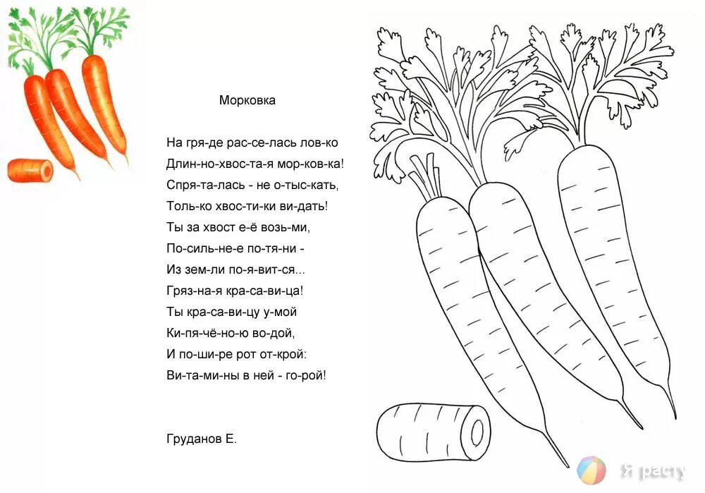 Морковь задания для детей. Морковка длинная и короткая. Морковь задание. Детский стишок про морковку. Аппликация.