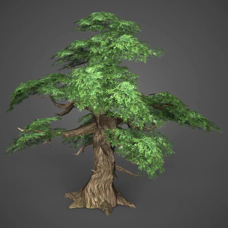 Max tree. 3ds max tree model. low poly trees 3ds max. стилизованное дерево в 3д макс. дерево 3d геймдизайн.
