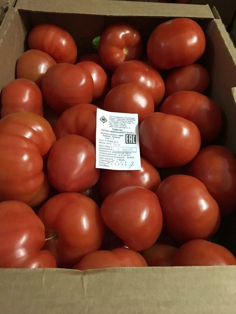 Где купить помидоры москва