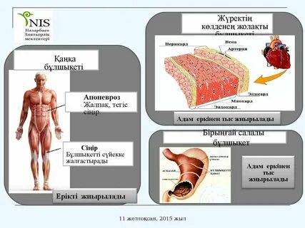Кунилингус порно үшін әдеттен тыс позициялар