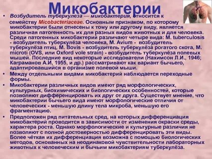 Микобактерия туберкулеза лечение