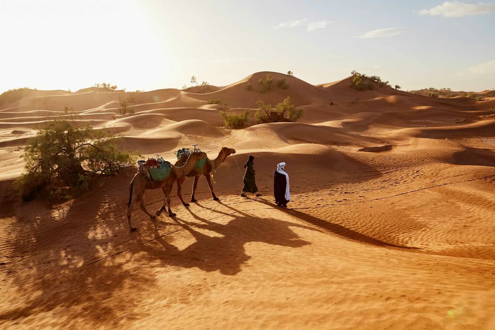 Занятия людей в пустыне. Двое в пустыне. 2 Человека в пустыне. Шейх в пустыне. Два путника в пустыне.