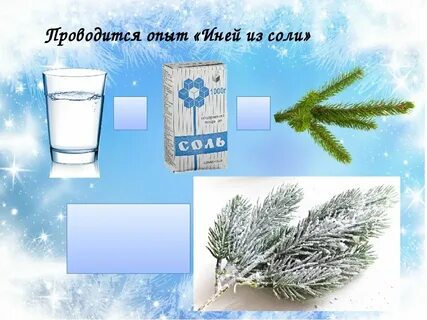 Иней можно перенести