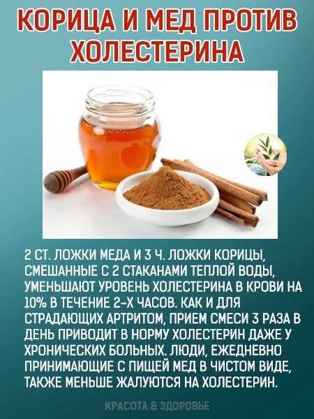 Корица от холестерина. Корица от холестерина. Смесь меда и корицы. Смесь меда и корицы. Корица от холестерина.