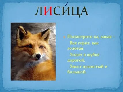 Есть ли слово лис