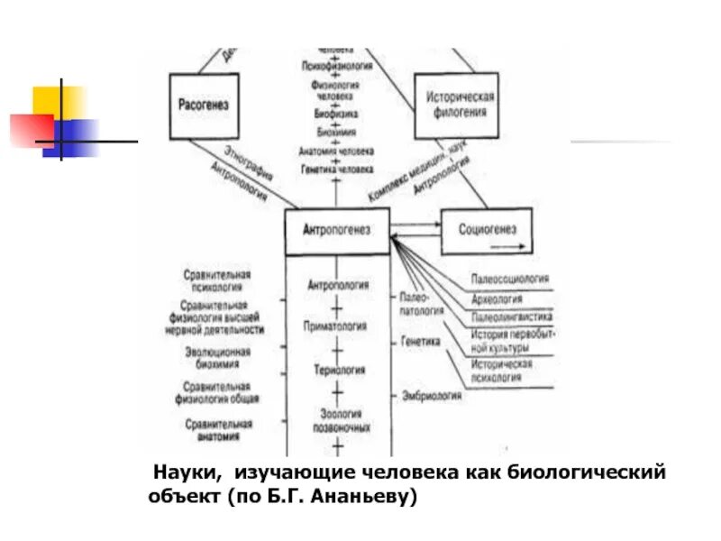 Какая биологическая наука изучает человека. Науки изучающие человека как биологический объект. Человек как объект биологии. Науки изучающие человека как биологический объект по Ананьеву. Классификация наук о человеке.