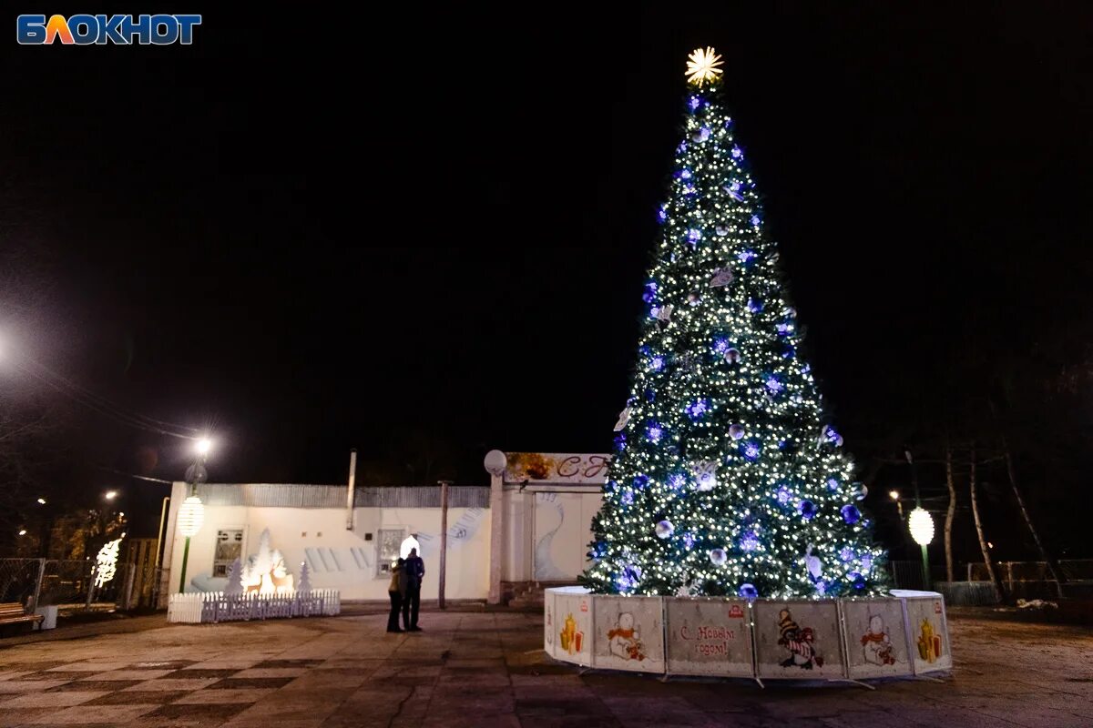 Новогодний город таганрог. Таганрог елка новый год. Праздничная городская елка. Новый год в парке горького таганрог. Новогодняя елка в таганроге.