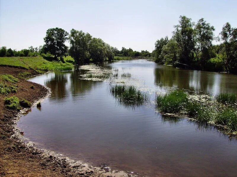 Водные богатства ульяновской области. Река большой Черемшан в Ульяновской области. Река большой Черемшан Димитровград. Река Черемшан Димитровград. Река Черемшан Татарстан.