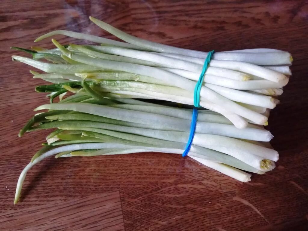 Черемша. Черемша лесная. Черемша сибирская. Черемша. Медвежья черемша.