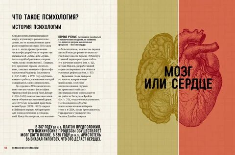 Истории жизни психология