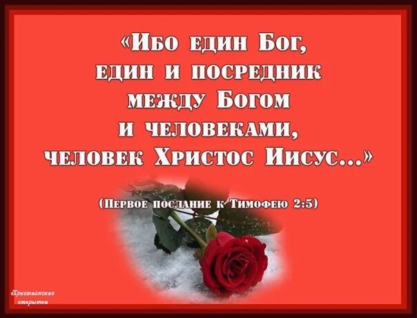 Единый бог на земле. Ибо един бог един и посредник между богом и человеками. един посредник между богом и человеком человек. един посредник между богом. един посредник между богом и человеком человек иисус христос.