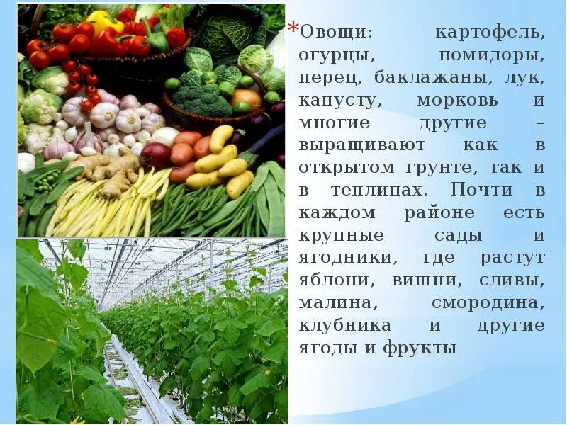 Сельское хозяйство Воронежской области
