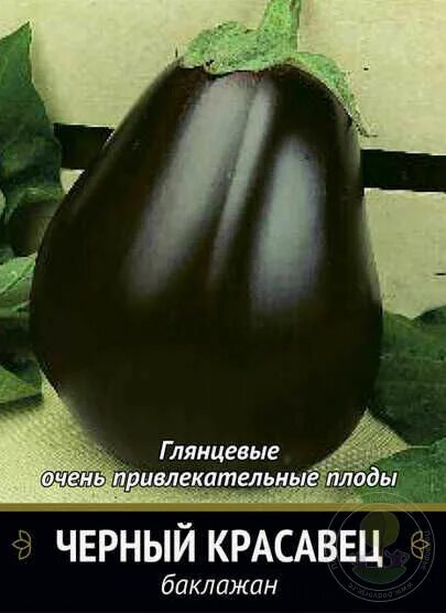 Баклажан черные ресницы. Баклажан северный блюз 12шт. Баклажан черные ресницы. Черный красавец баклажан агроуспех. Баклажан f1 голиаф.