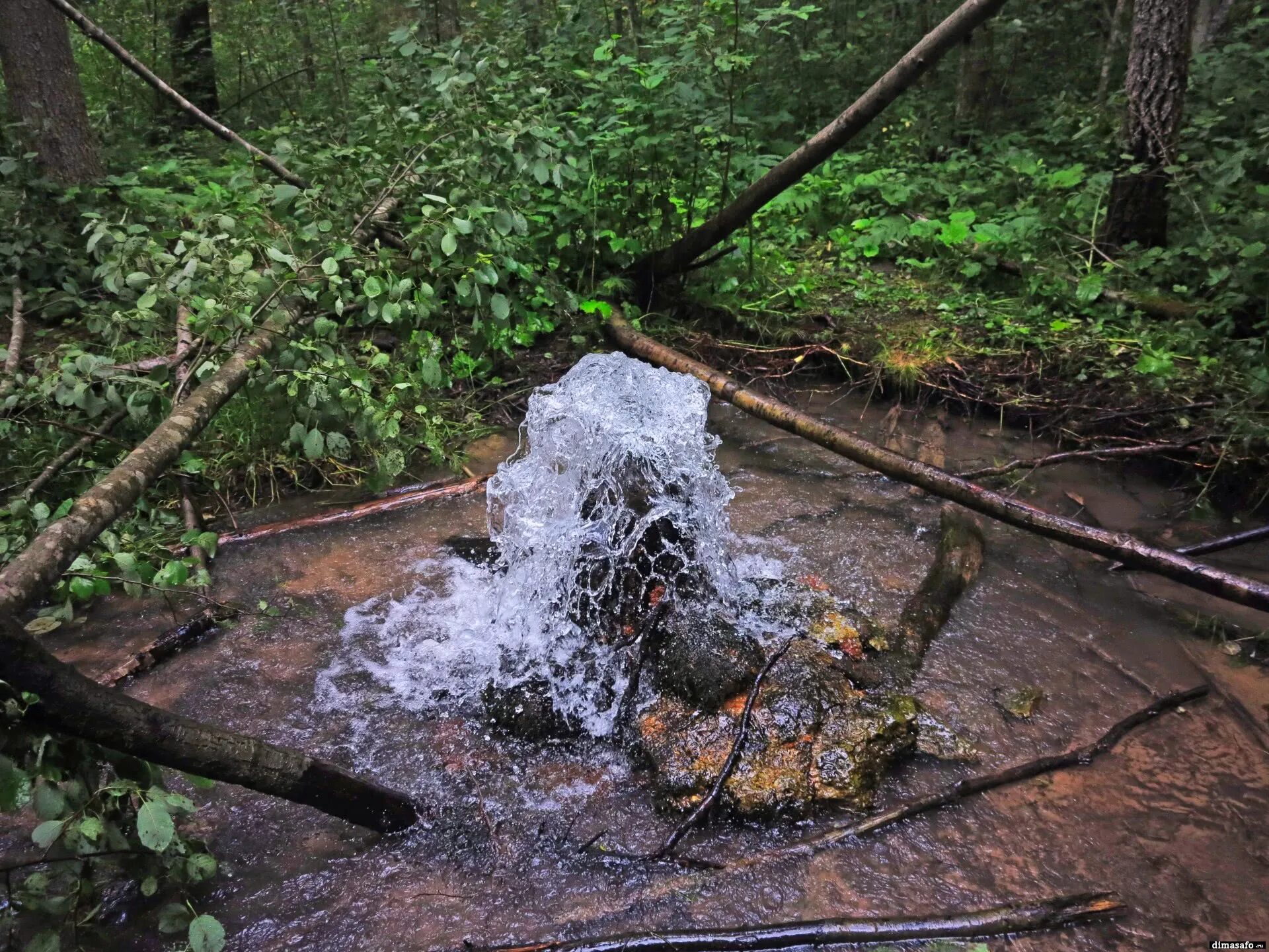 Корпиково гейзеры. Родник бьют ключи Родниковая вода. Родник в лесу. Природные источники воды.