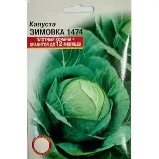 Харьковская капуста описание