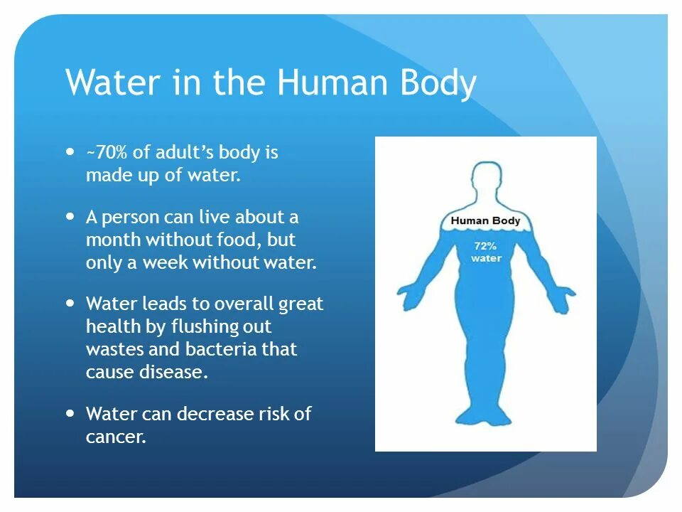 Our bodies our lives. Water in Human body. Water in body. The Human consists of Water. Water in Organisms.