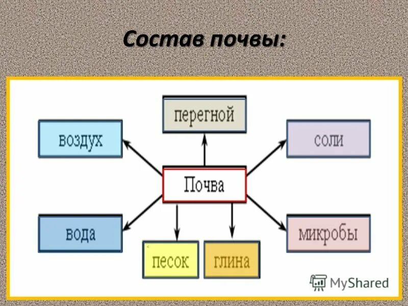 Состав почвы. Состав почвы 3 класс окружающий мир. Состав почвы 4 класс окружающий мир схема. Почва состав почвы. Состав почвы 3 класс.