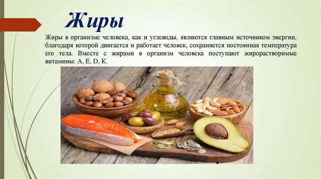 Жиры в человеческом организме