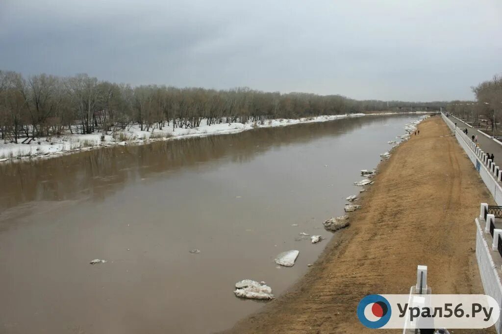 Есть ли вода в оренбурге. Уровень воды в реке Урал у Оренбурга. Разлив Урала. Река Урал разлив. Разлив Урала в Оренбурге.