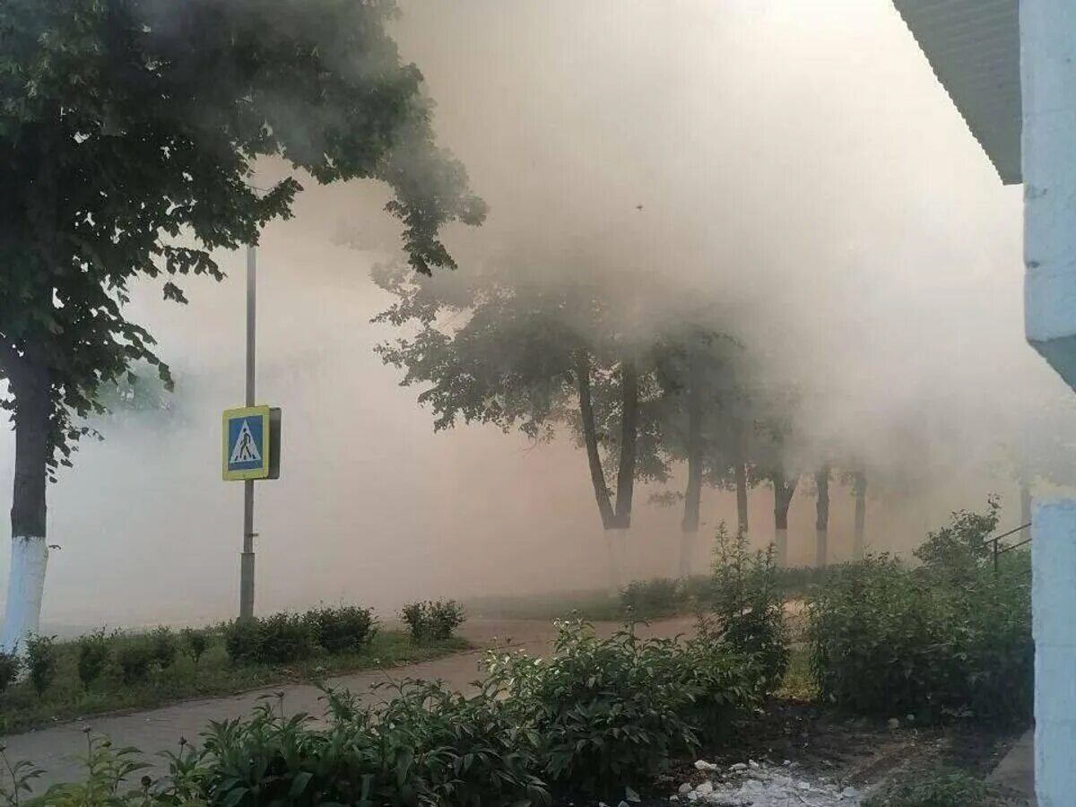 Что было 14 июня. Что было 14 июня. Международный день блогера открытки. Что было 14 июня. Что было 14 июня.