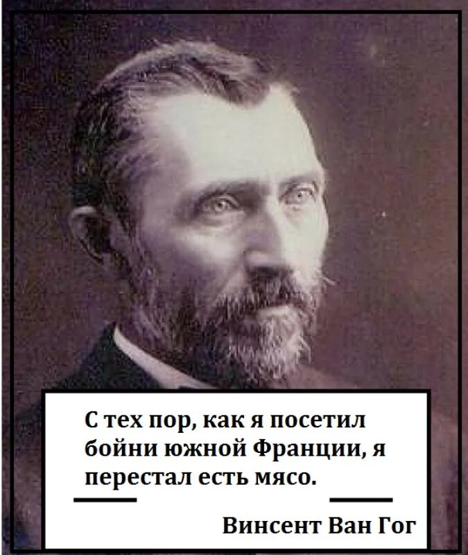 Что если перестать есть мясо. Что удет если перестат бестьь мяср?. Что будет если человек не будет есть мясо. Людей которые не будут есть мясо. Необходимо есть мясо