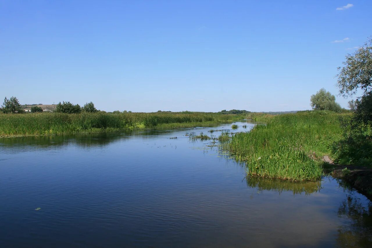 Битюг воронежская область. Grunwald полуприцеп шторный. Бобров речка битюг. Река битюг бобров. Битюг с защитой.