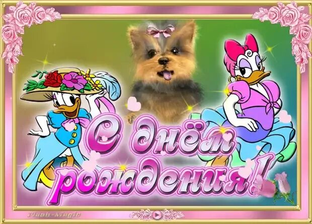 Звуковые открытки с днем рождения. Флэш открытка. с днем рождения флеш. flash открытка с днем рождения. флеш открытки приколы.