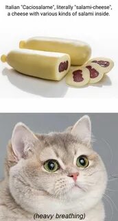 Кот тяжело