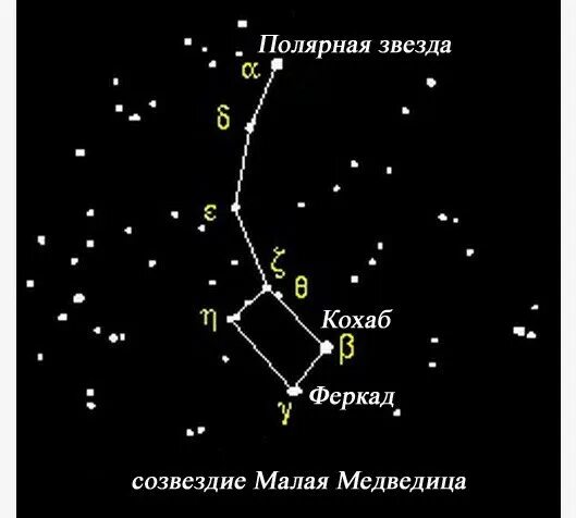 В созвездии малая медведица находится звезда