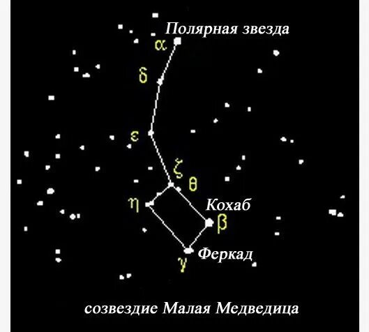 Звёзды ковша малой медведицы. Созвездие малая Медведица и Полярная звезда. Малая Медведица Созвездие самая яркая звезда. Созвездие ковш малой медведицы. Сколько звезд составляют большую медведицу