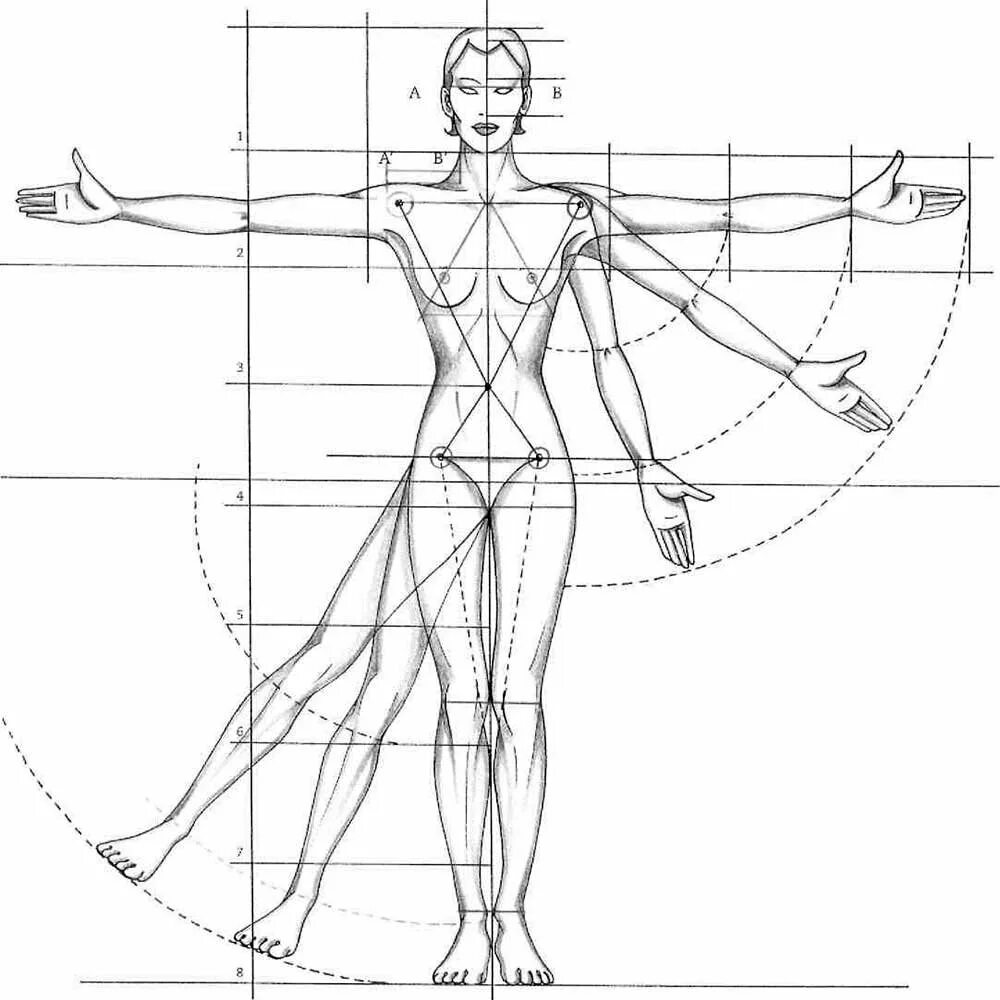 Схема человека. Золотое сечение пропорция тела женщины. Пропорции человека в полный рост. Зарисовки человека пропорции. Пропорции тела человека схема.