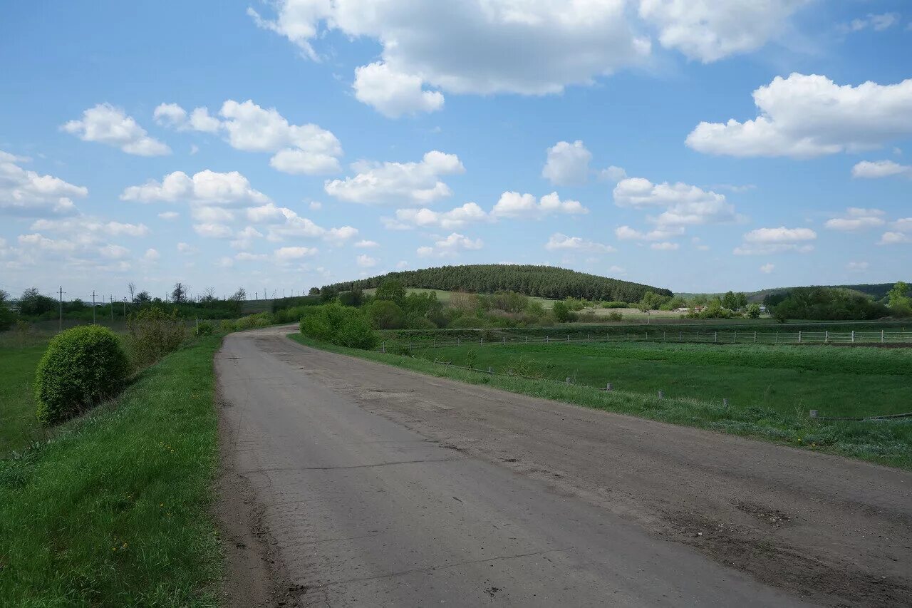 Курган холм. Зеленые холмы Курган. Холмы Курганы в Курганской области. Курган холм Белозерский район.