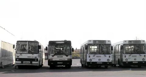 655 автобус спб