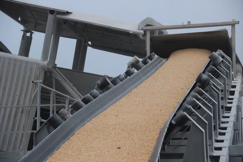 Шахтный ленточный конвейер 1л120. Цепной транспортер к100. Транспортер для зерна. Зерновой транспортер. Тпл-600 ленточный транспортер.