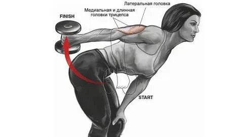 Как накачать мышцы рук женщине