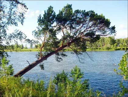 Нужна иркутская область