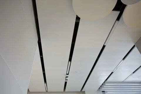 Hi 100