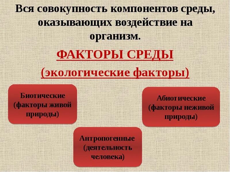 Факторы живой природы воздействующие на организм. Элементы среды оказывающие воздействие на организм называют. Экологические факторы живой природы. Все факторы живой и неживой природы воздействующие на организм. Биотическими факторами называют совокупность факторов