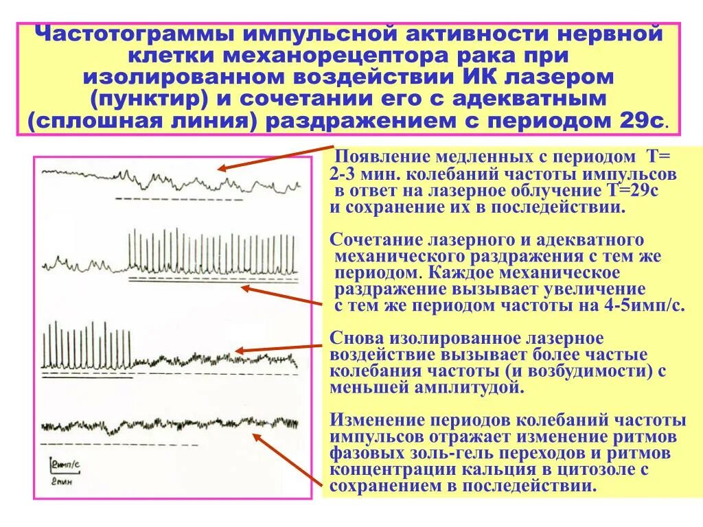 Импульсивная деятельность