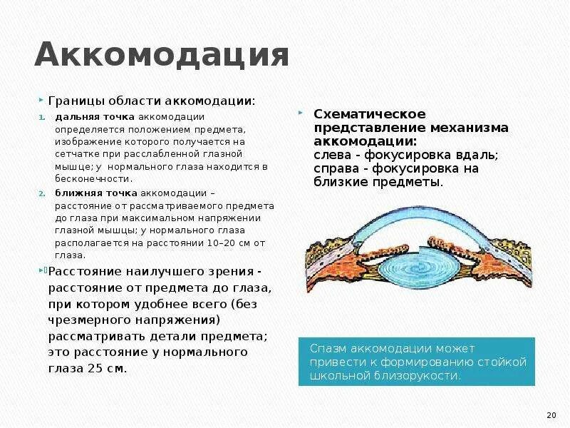 Снятие аккомодации. Спазм аккомодации мышцы. Спазм аккомодации аппарат. Спазм аккомодации хрусталика. Зрение при спазме аккомодации.