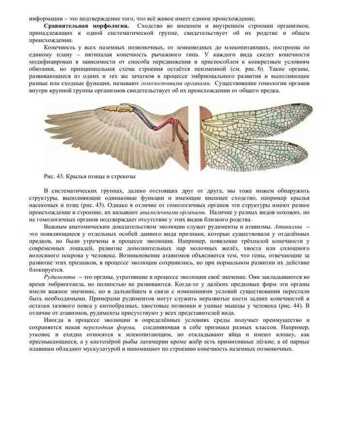 Органы выполняющие сходные функции