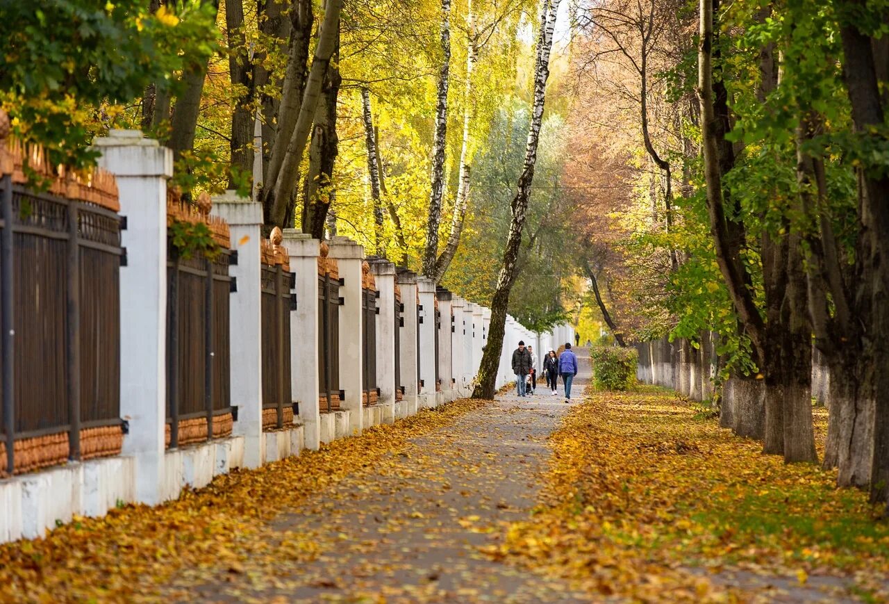 Погода на неделю тула и тульская область. Тула вывеска города осенью.