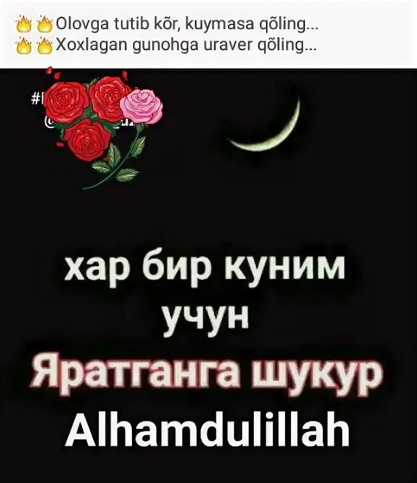 Шукур килинг. Оллохга шукур бахтлиман. алхамдулиллах шукур. яратганга шукур. дуо килинг онажон.