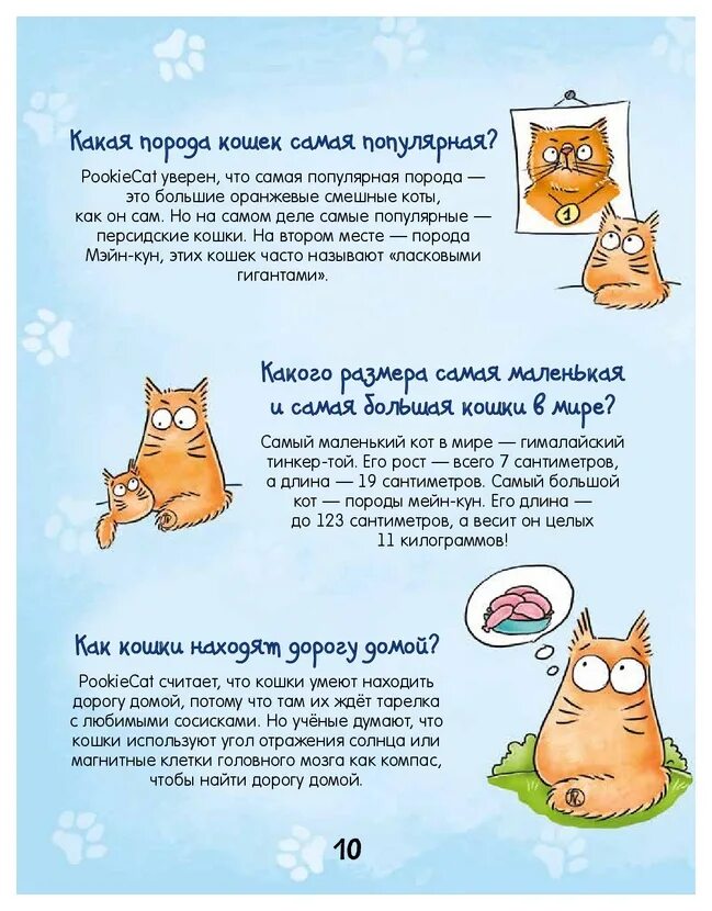 Почему котята мурчат. Почему коты мурчат. Почему кот мурлыкает. Почему коты мурлыкают. Почему кошки мурлыкают когда их гладишь.