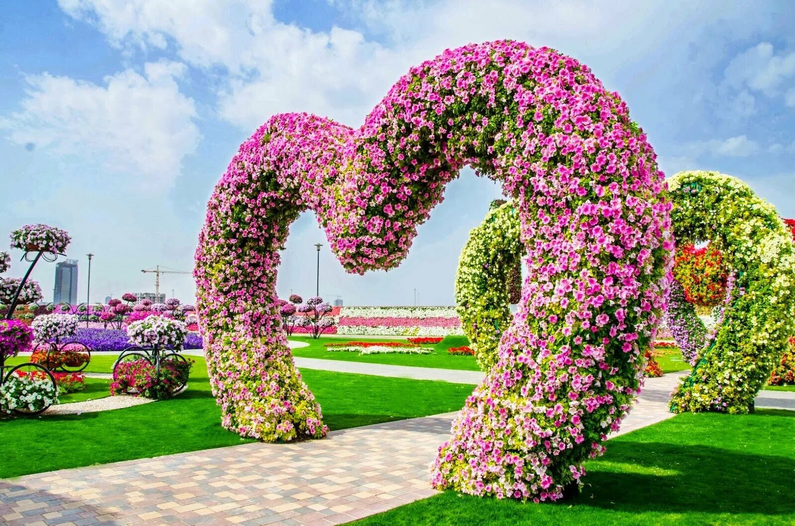 Miracle Garden Дубай. Сад чудес (Miracle Garden). Сад чудес в Дубае. Миракл Гарден парк цветов Дубай. Арка для петуньи