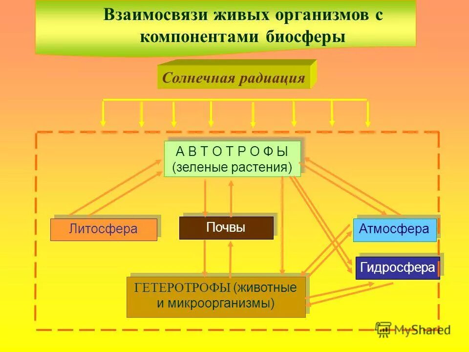 Человек часть биосферы тест